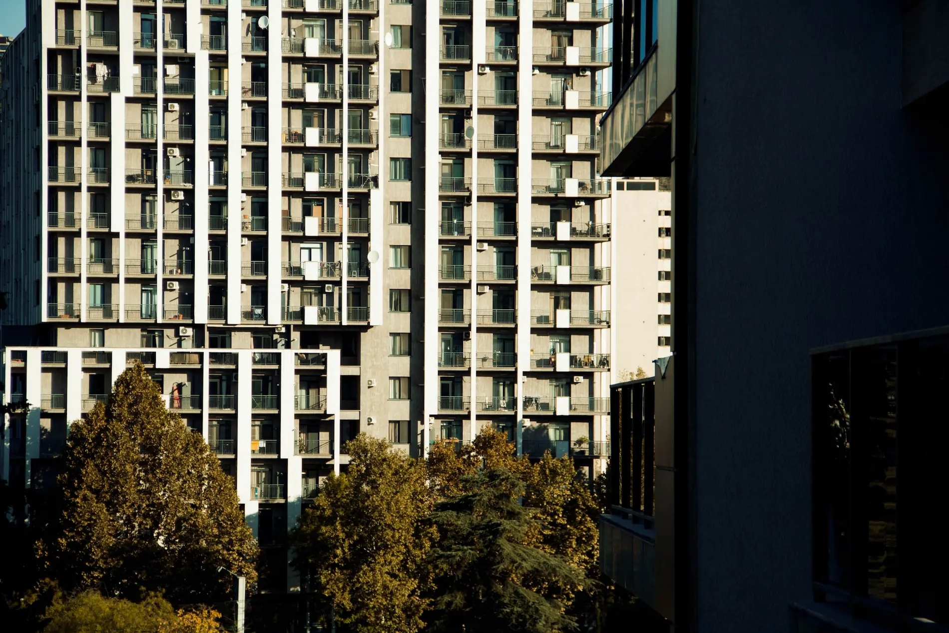 3500+ სერვის სპეციალისტი და კომპანია